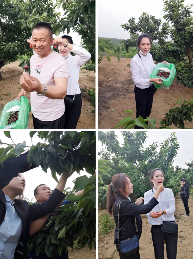 4001百老汇会员登入-百老汇官方网站