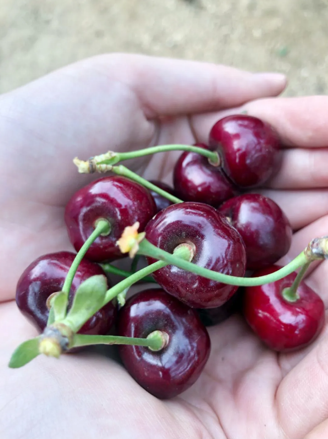 4001百老汇会员登入-百老汇官方网站